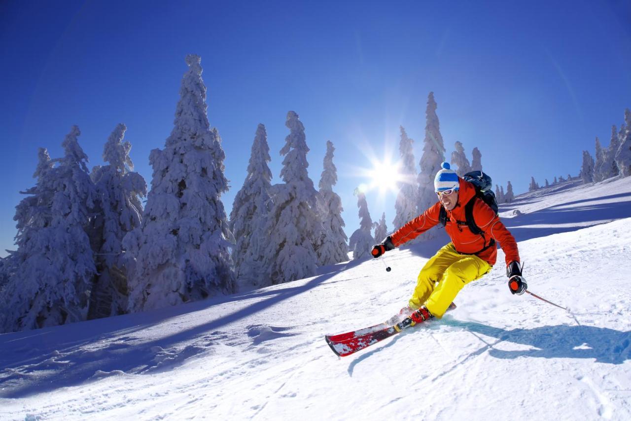 Apartment Berg Klinovec Loucna pod Klinovcem